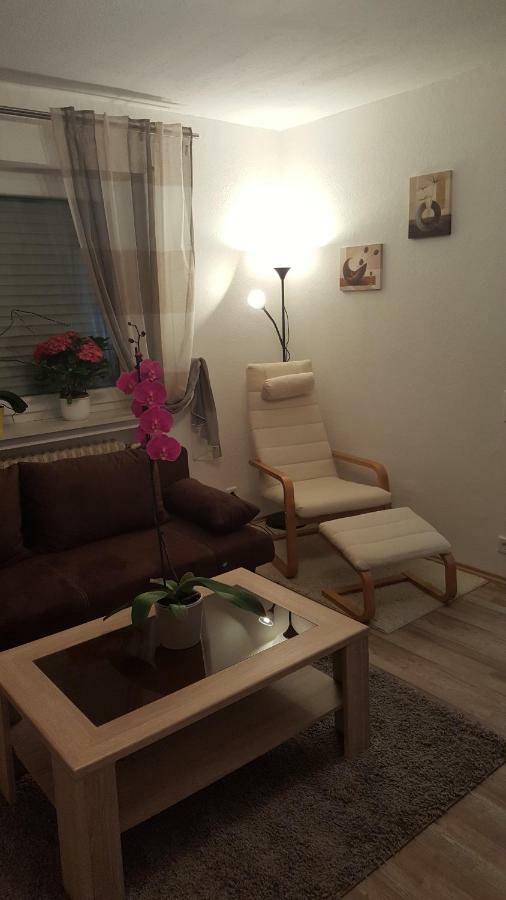 Ochmanns Ferienwohnung Meschede Ngoại thất bức ảnh